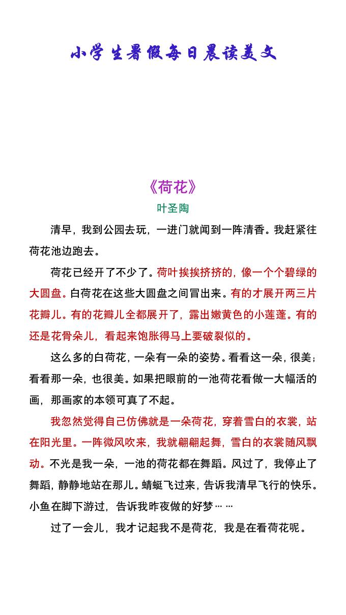 小学生暑假每日晨读美文：叶圣陶《荷花》-小升初语文-ABC库